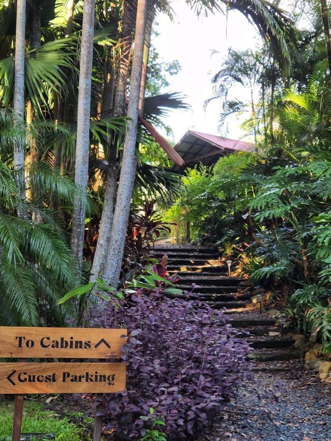 Koompartoo Retreat Bellingen Villa ภายนอก รูปภาพ